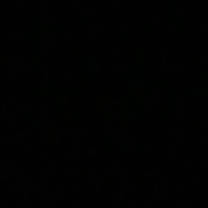 Meet your Posher, Lily